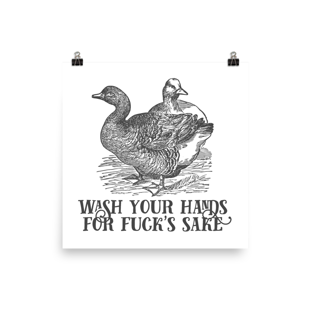 Wash Your Hands For Fucks Sake Poster Effin Birds
