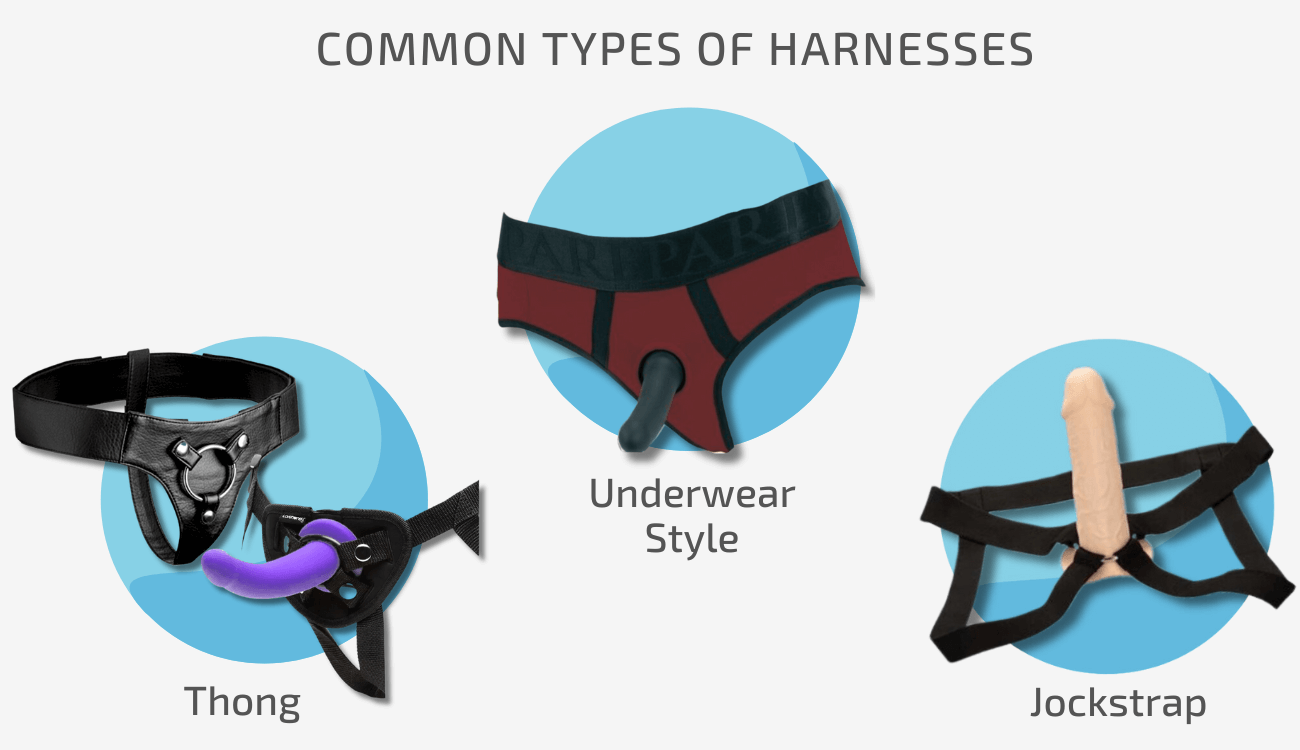 Diagram of the Common Types of Harnesses