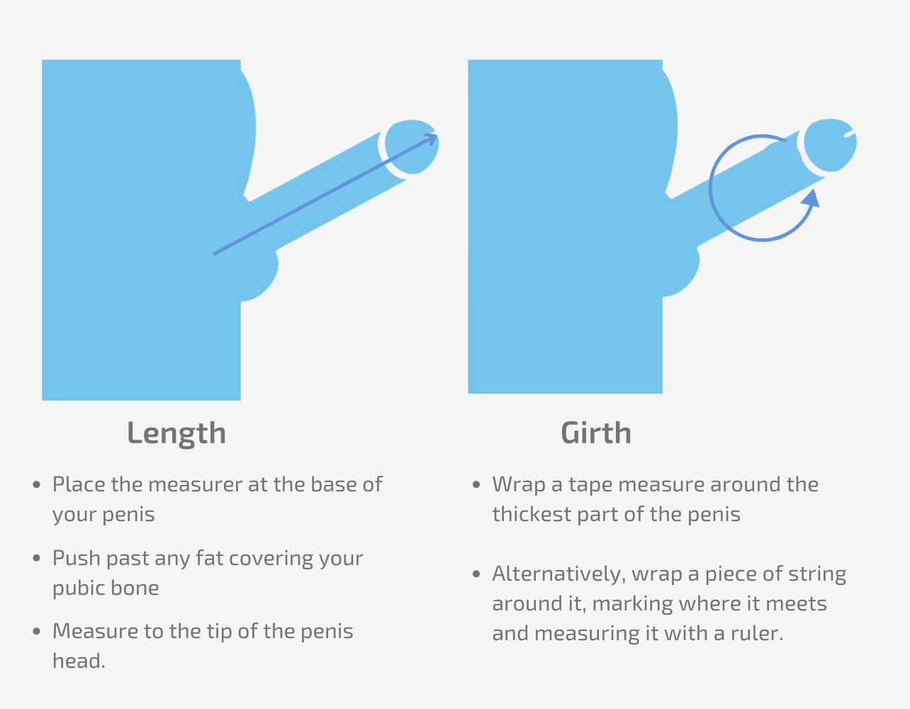 Diagram on How to Measure the Size of Your Penis