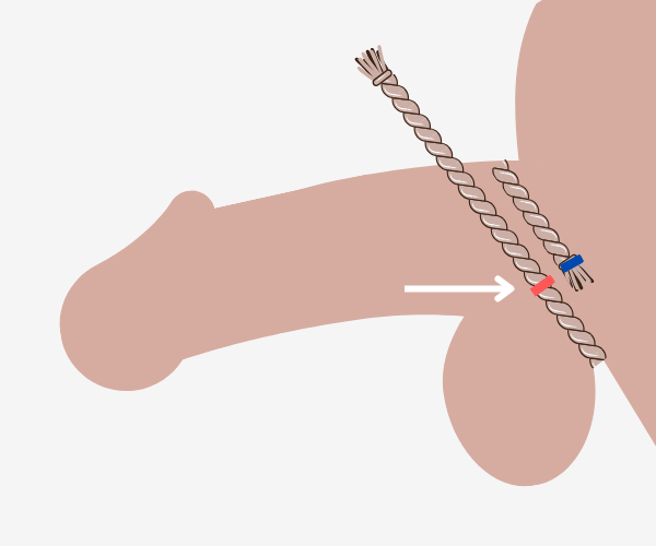 Illustration on How to Measure for a Cock and Ball ring