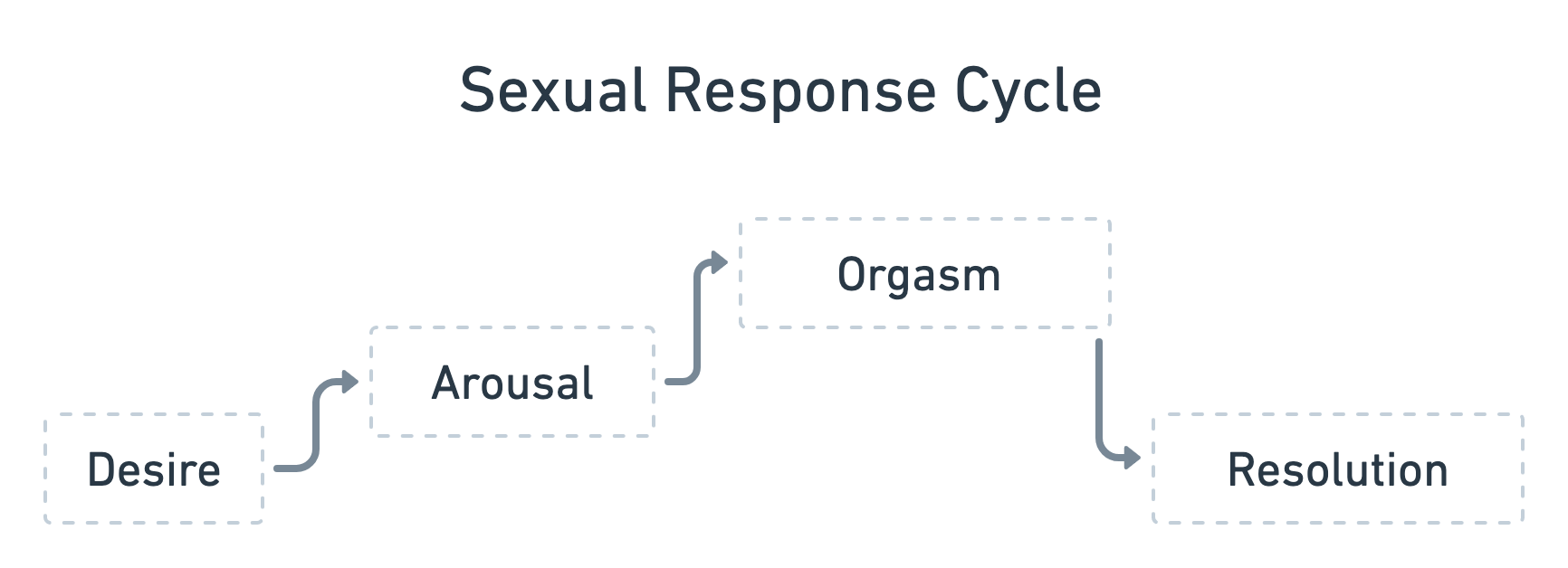 the sexual response cycle diagram