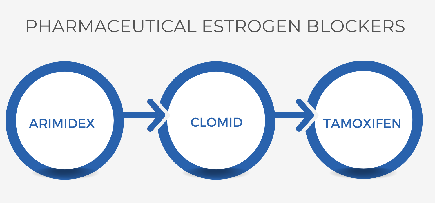 Diagram on the Pharmaceutical Estrogen Blockers