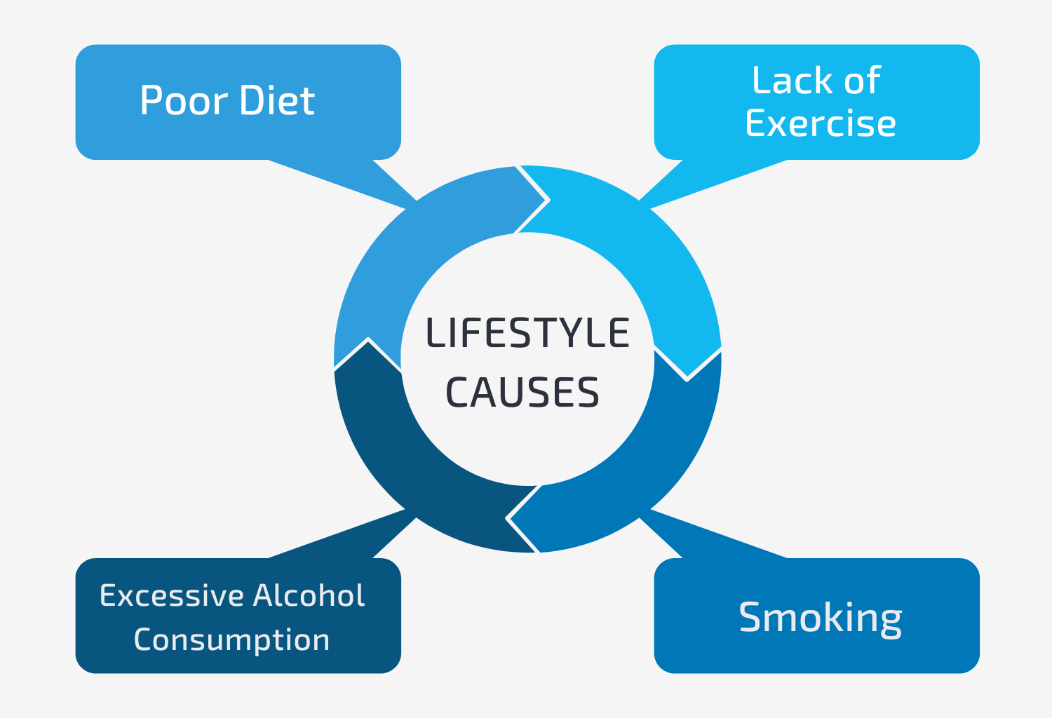 Diagram on the Lifestyle Causes of Erection Issues