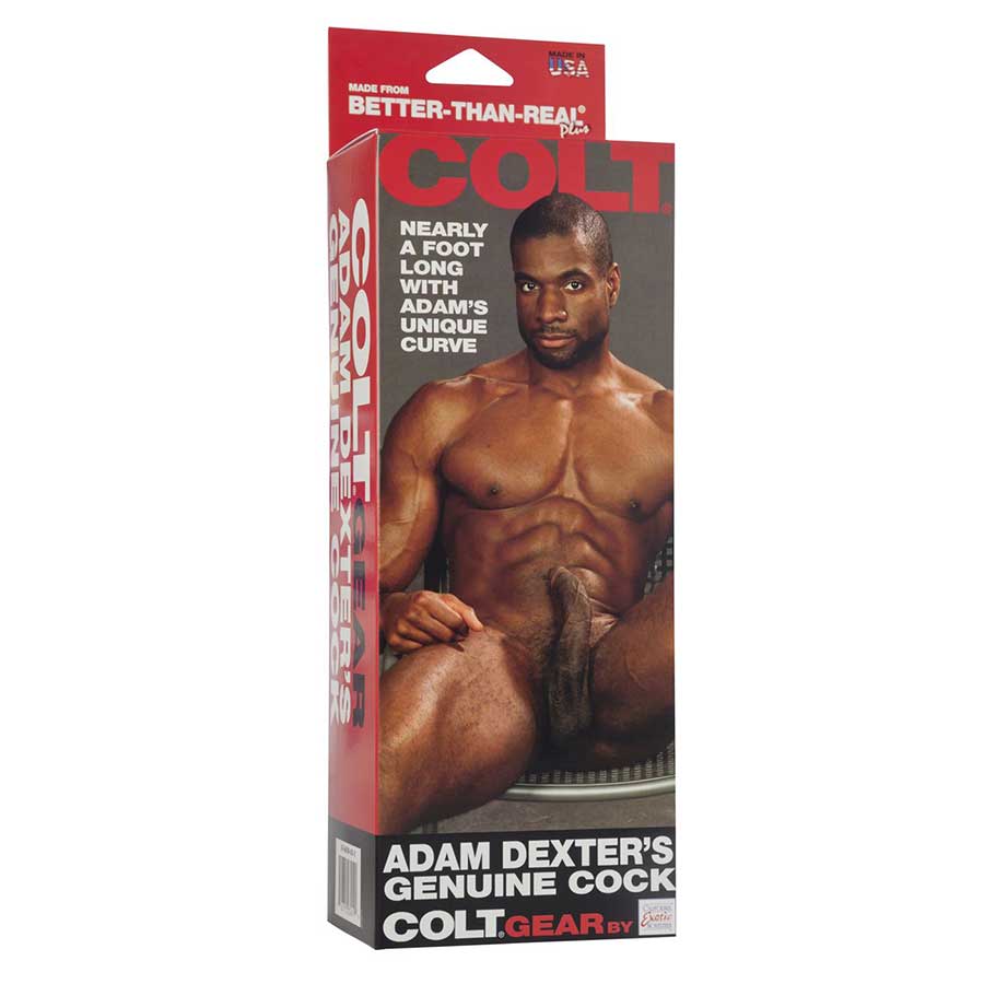 Black Porn Star Realistic Dildos - Adam Dexter's Real Cock Dildo by Colt