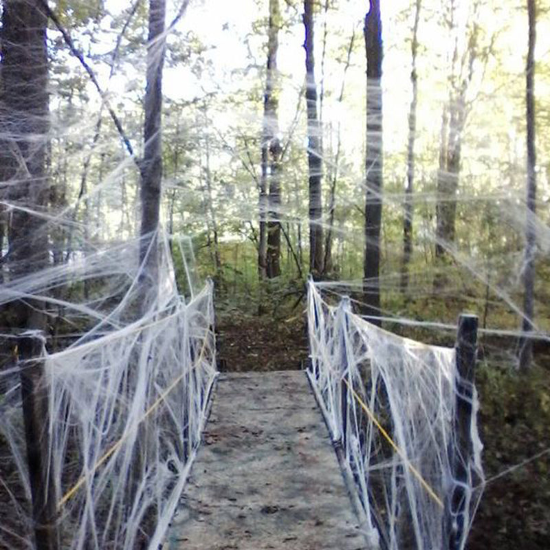 halloween webbing