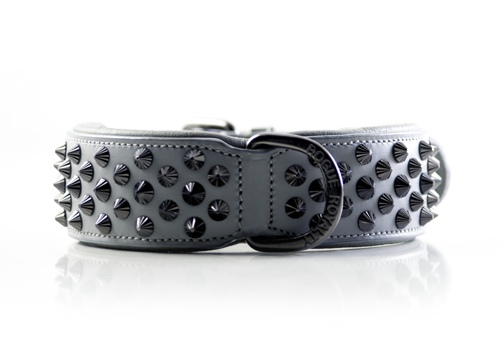 flat dog collar