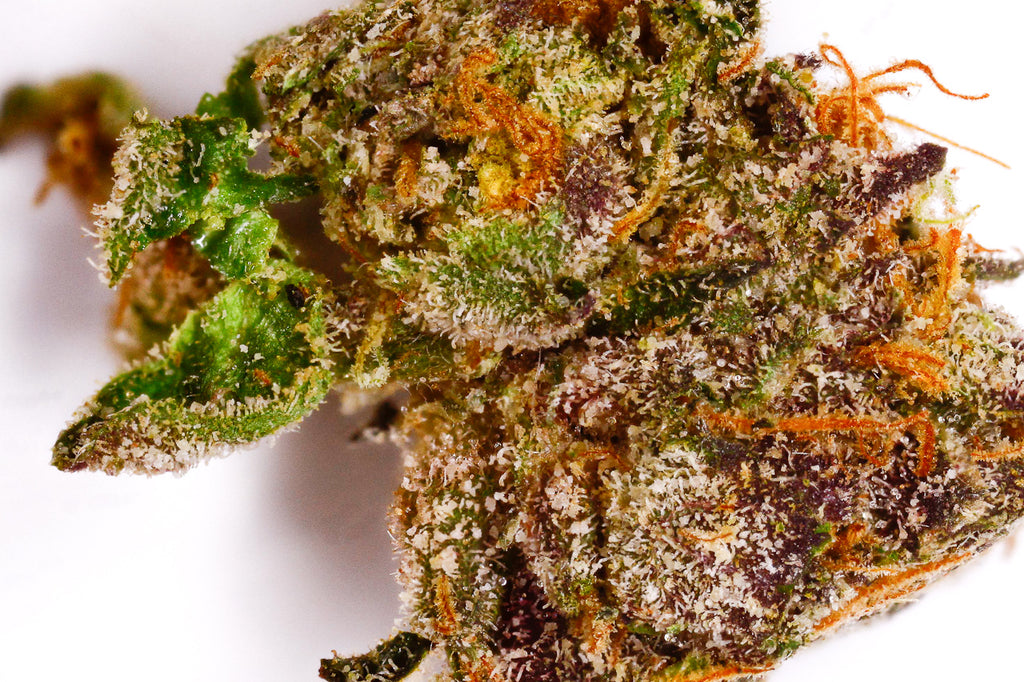 9 Cannabis Strains Blowing Up In 18 Kloud9