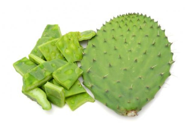 Nopal - América Latina aromas extratos e desidratados