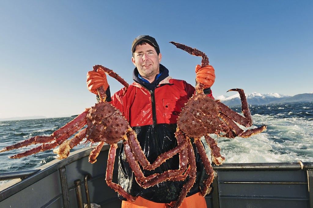 BIG CRABS! - Hauling & Re-Setting My Lobster & Crab Fishing Gear