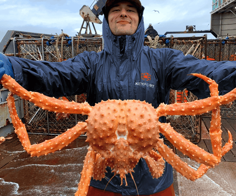 Crab Fisherman holding Red King Crab