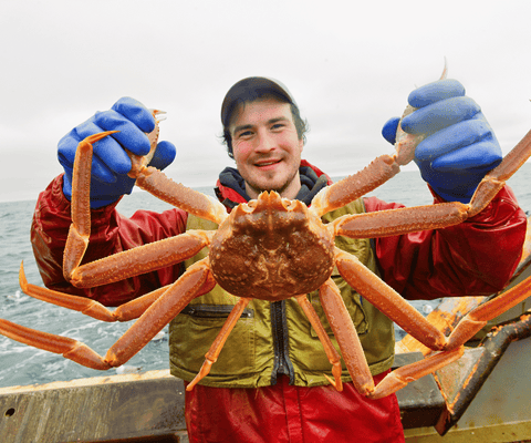 Crab Fisherman holding Snow Crab