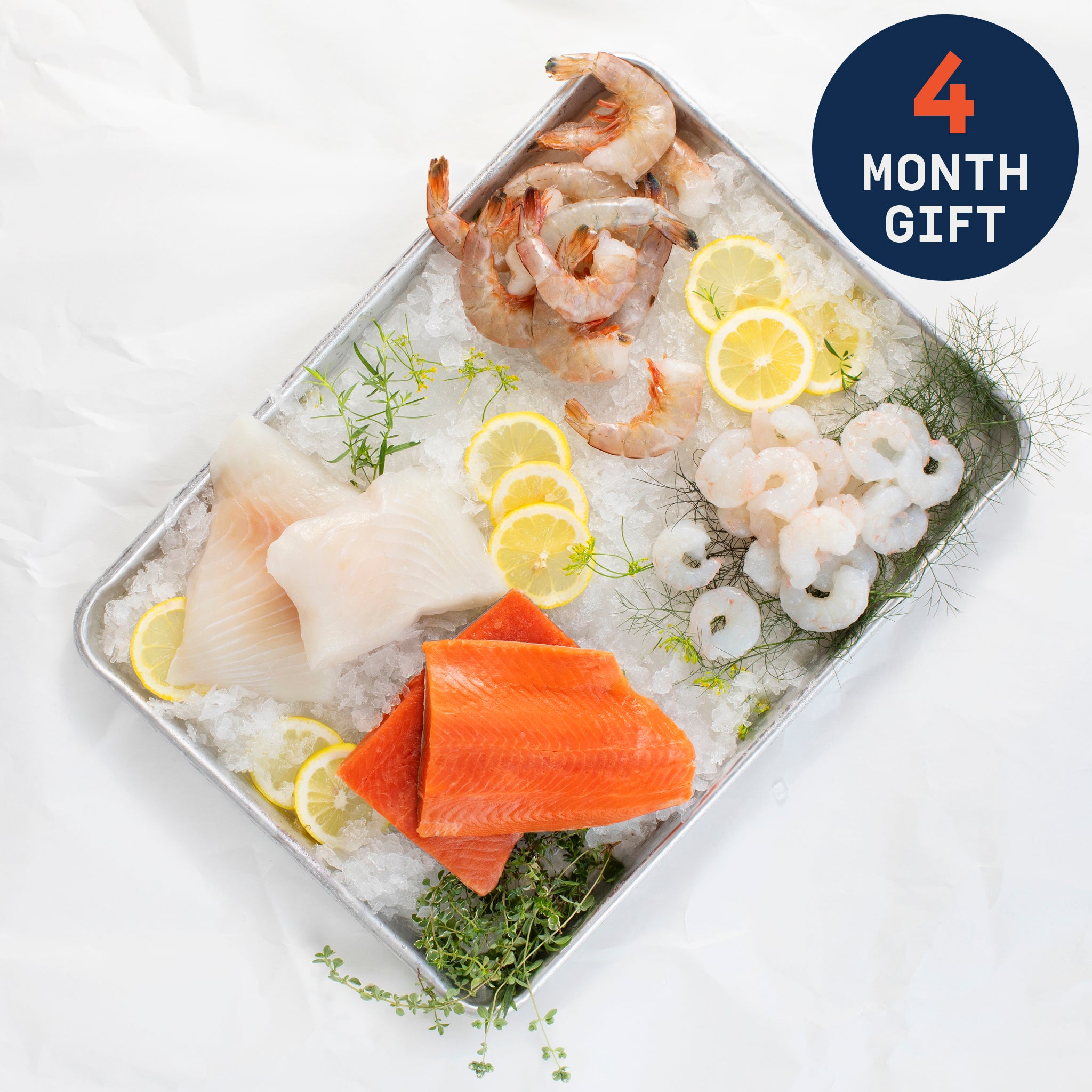  Seafood & Shellfish Box 