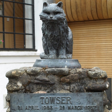 A statue of Towser, a cat in Scottland famous for catching mice. 