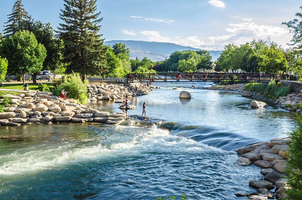 Reno Nevada Surf Wave