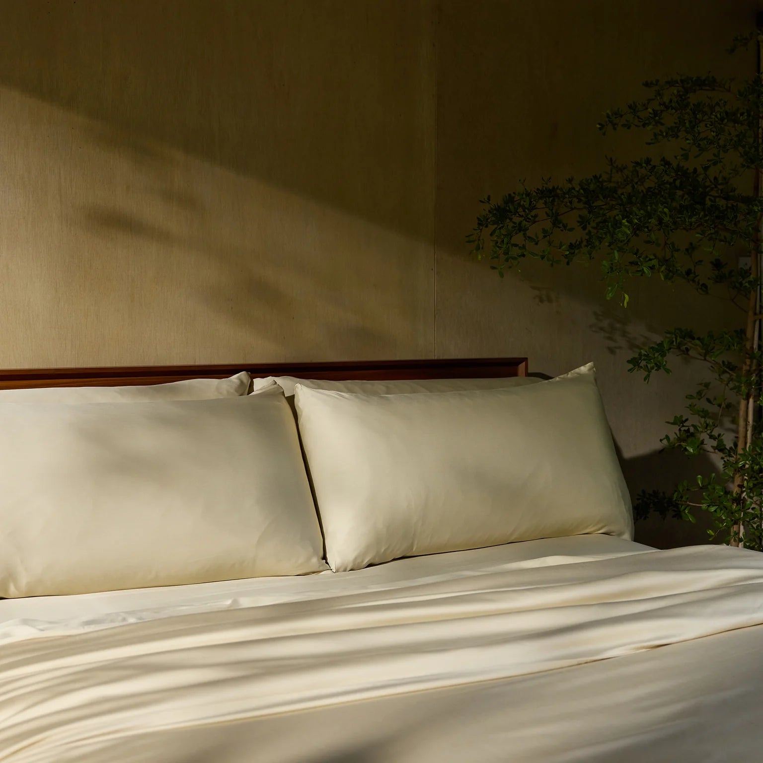 A neatly made bed with cream-colored sheets and pillows, next to a small leafy plant.