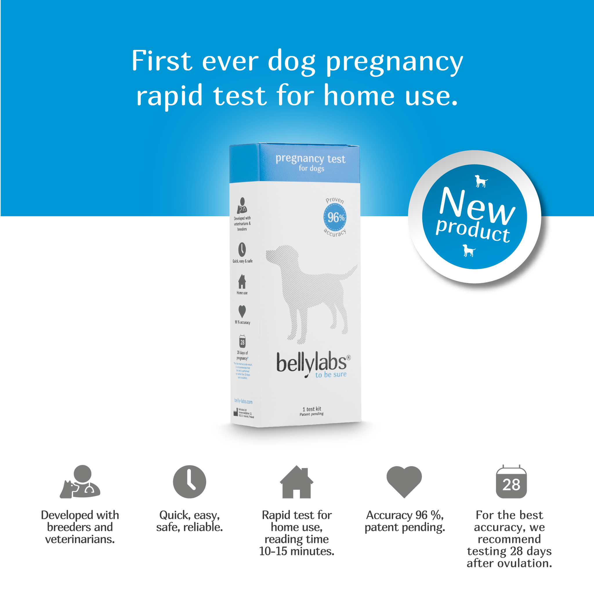 are there dog pregnancy tests