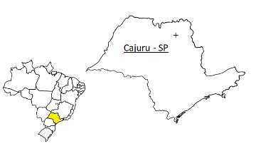 Cajuru - SP - Brasil