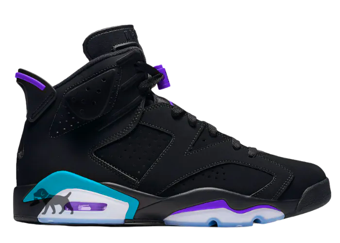 Air-Jordan-6-Aqua