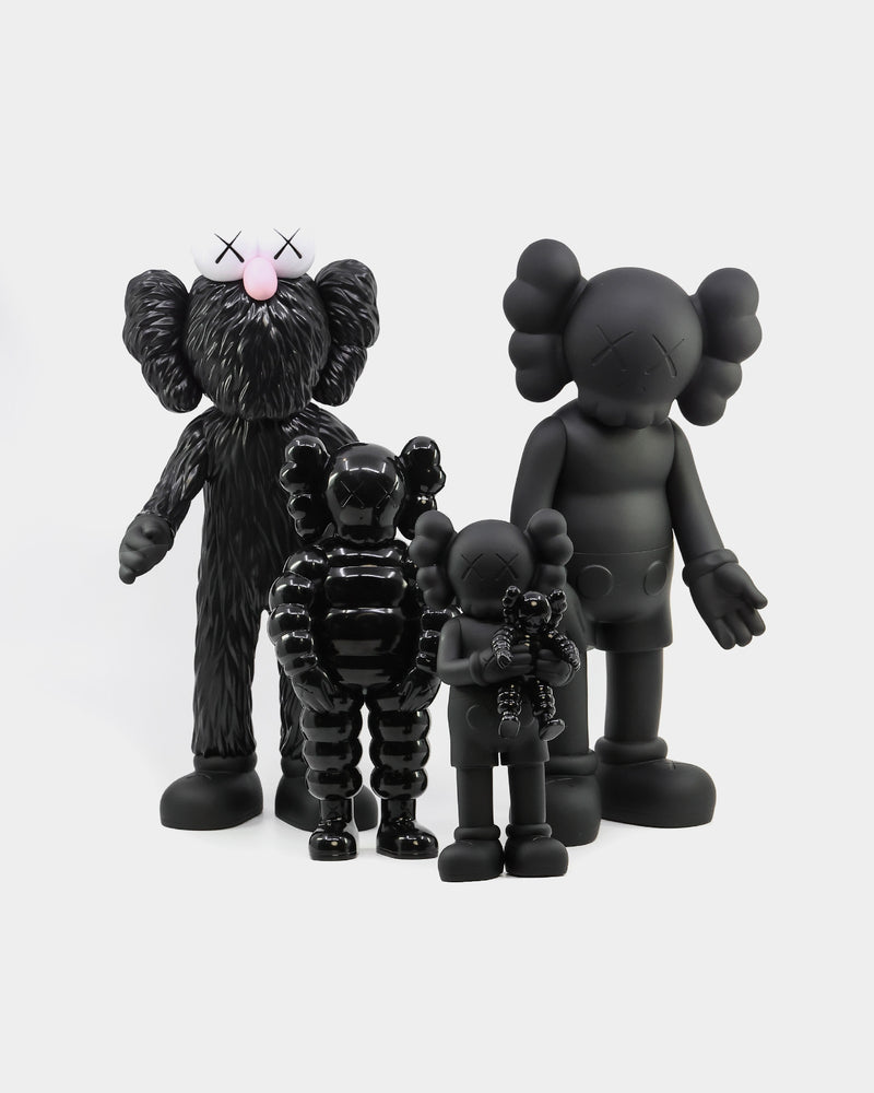 即発送可能 kaws tokyo first family 01