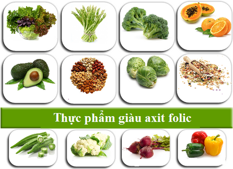 thuc-an-giau-ax-folic