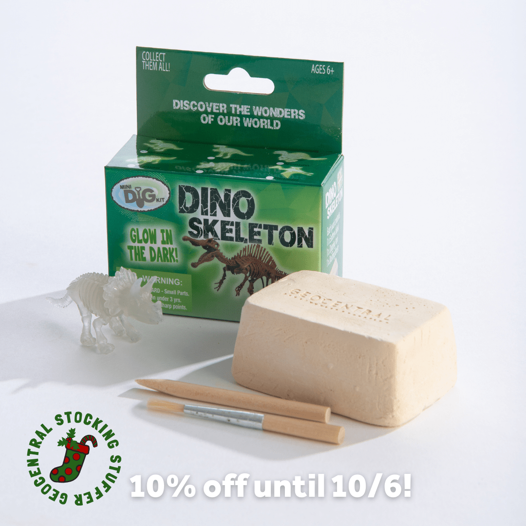 Mini Excavation Kit: Glow Dino Skeletons