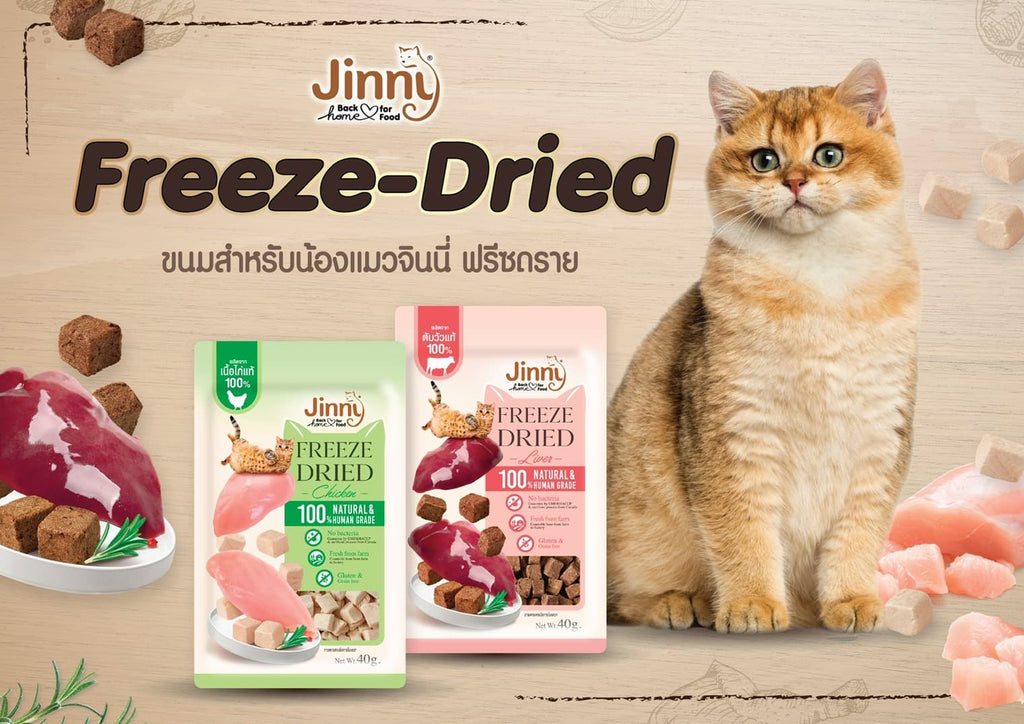 CatHoliday จินนี่ ฟรีซดราย Jinny Freeze-Dried ขนมแมว อาหารแมว ขนมสัตว์
