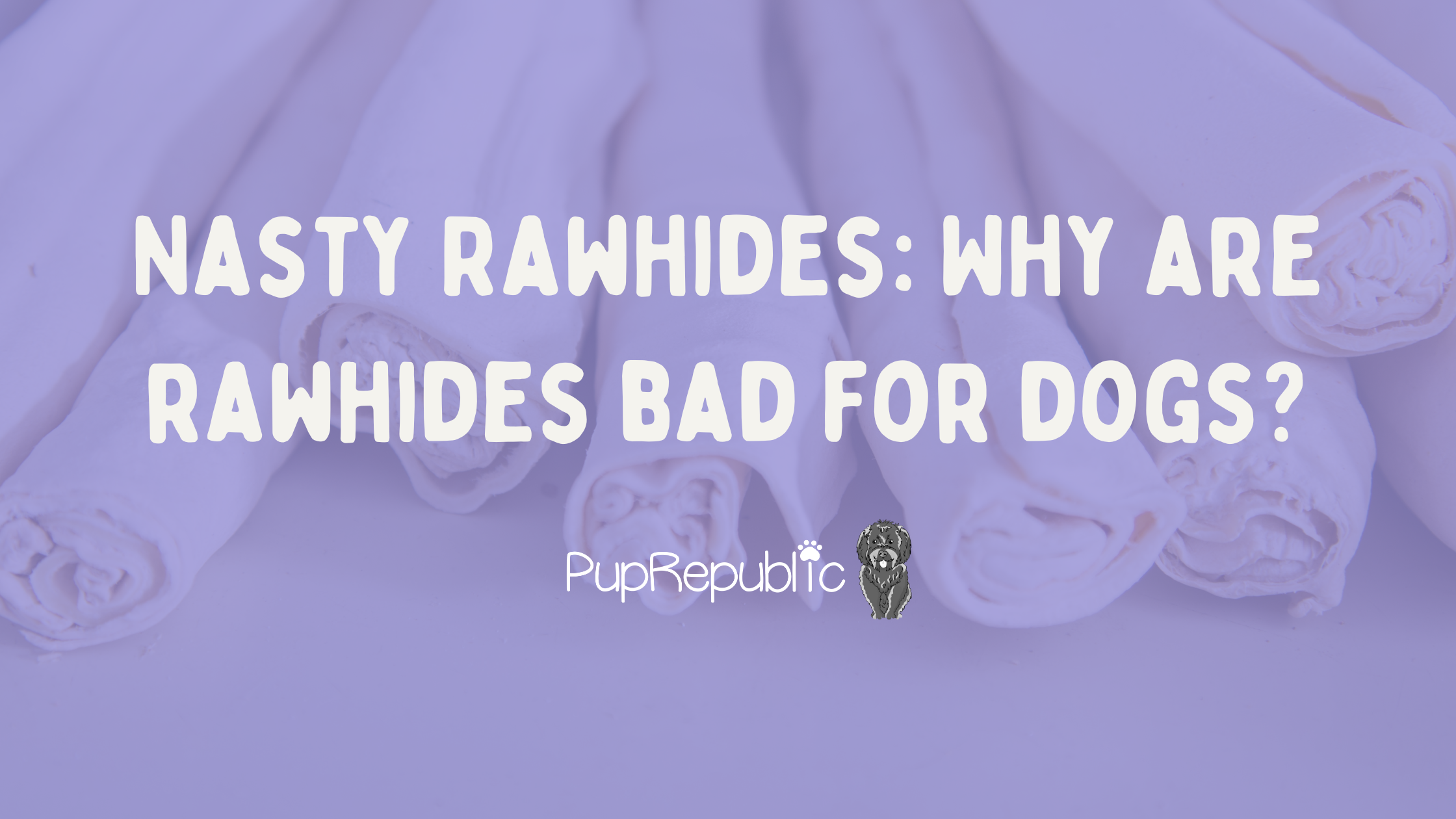 Are rawhides bad for dogs?