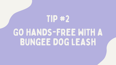 use a hands free bungee dog leash