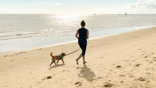 tips for running with dogs, hands free bungee dog lead uk