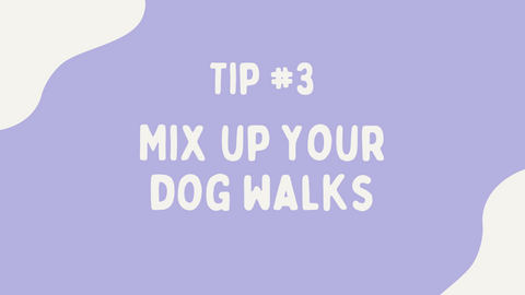 go on a variety of dog walks