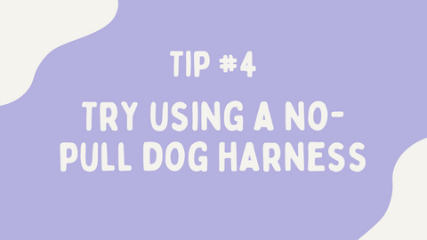 try a no-pull dog harness