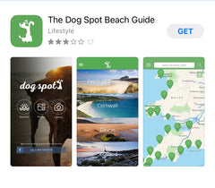 Dog Friendly Beaches UK