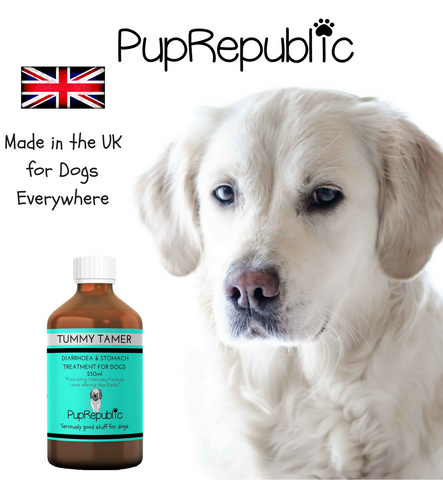 Pup Republic Tummy Relief UK