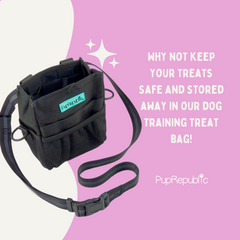dog training treat bag