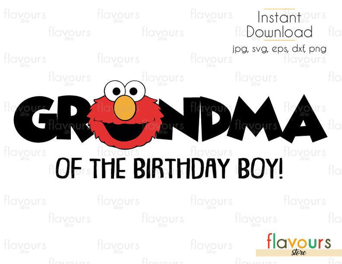 Download Grandma of the Birthday Boy - Elmo - Sesame Street ...