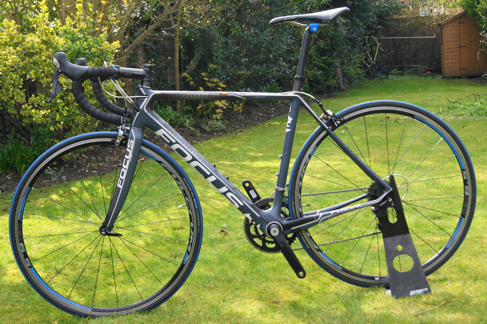 focus evo road bike