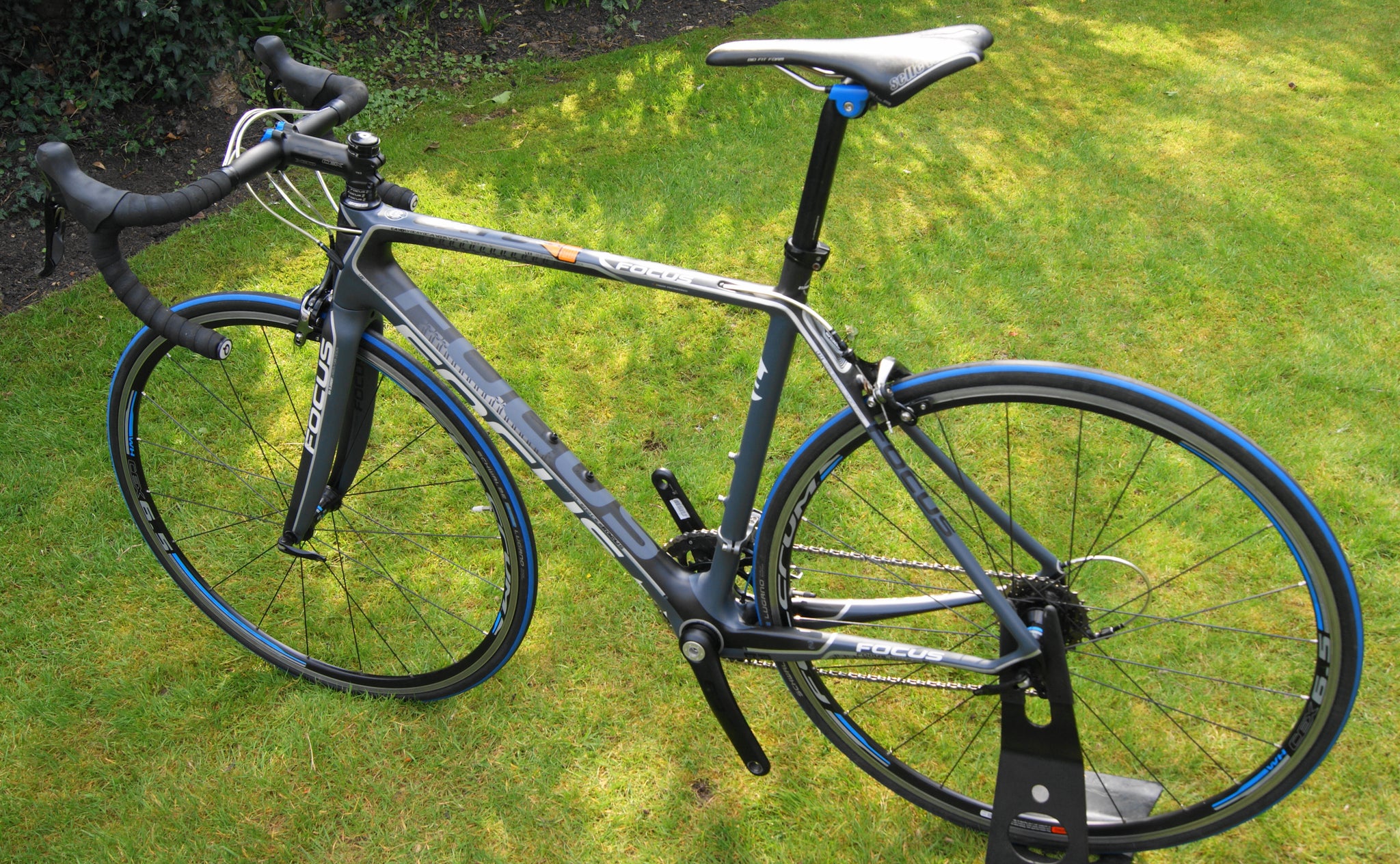 focus evo road bike