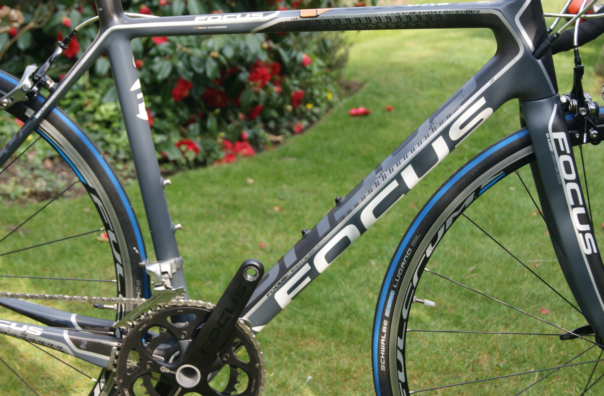 focus evo road bike