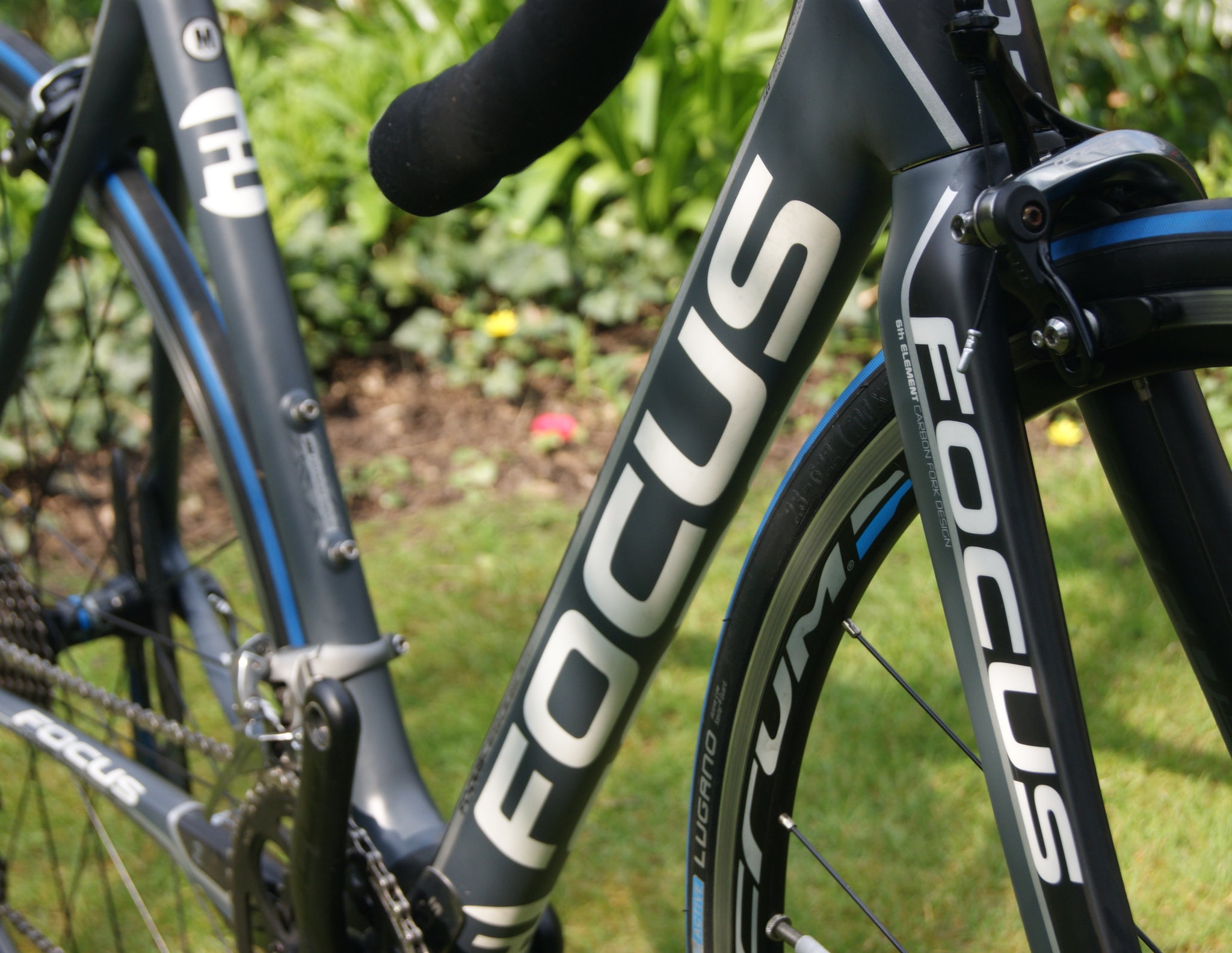 focus carbon bike