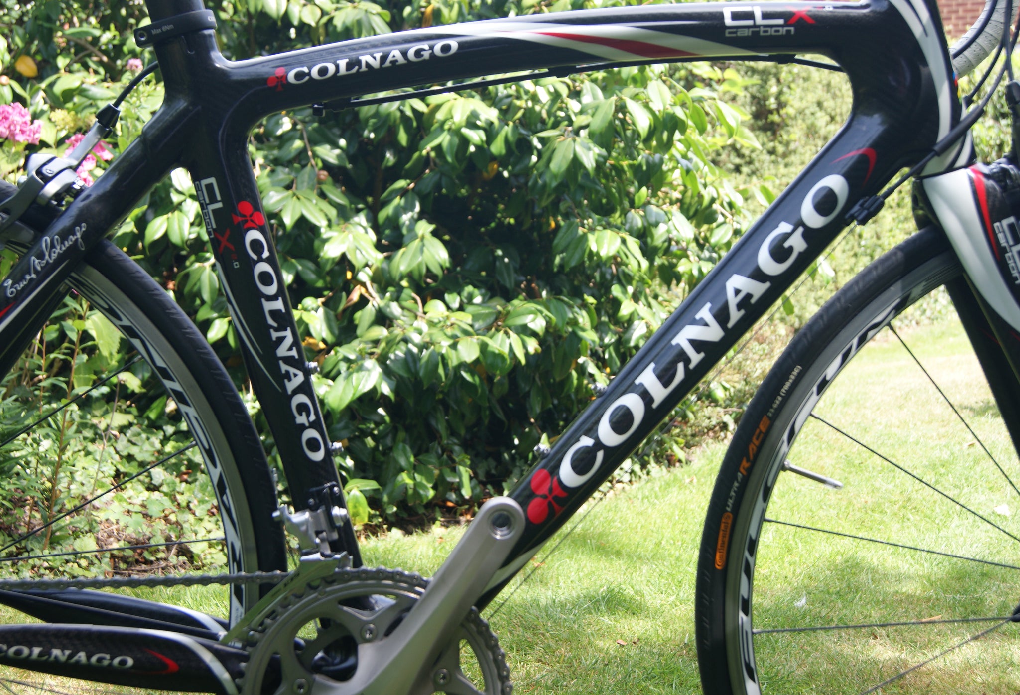 colnago clx frame