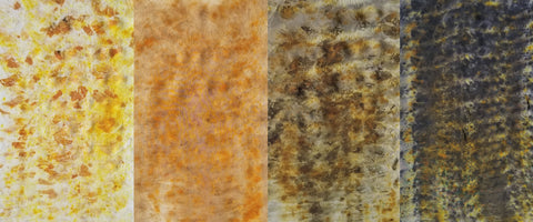 Eco Dye Color Samples on Silk