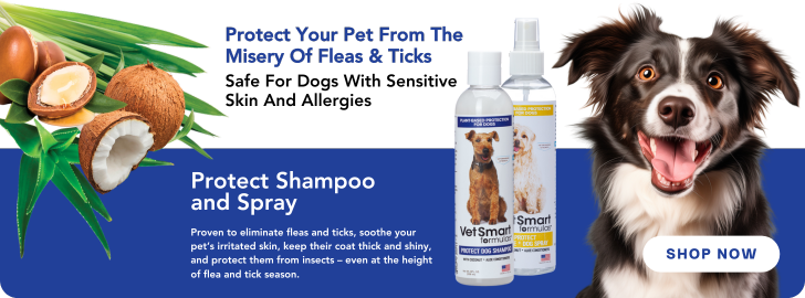 Protect Shampoo | Protect Home Spray