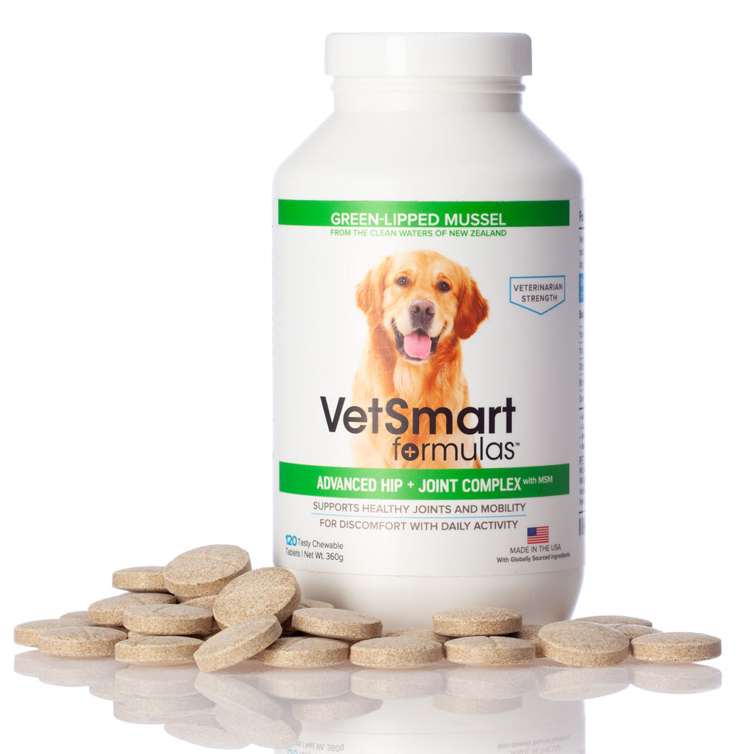 what is msm in dog supplements
