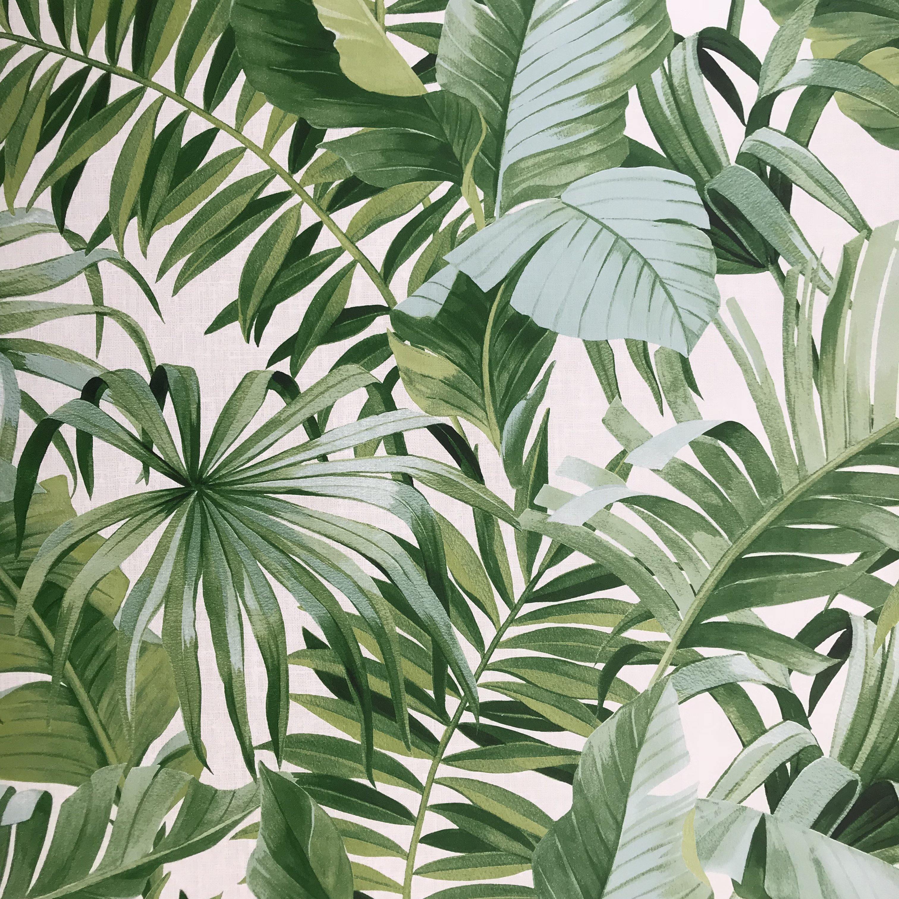 2744 Brewster Palm Leaves Banana Leaf White Green Tropical Wallp Wallcoveringsmart