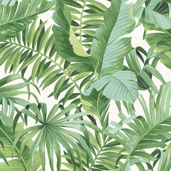 Nieuw FD24136 Palm leaves Banana Leaf White Green Tropical Wallpaper FF-52