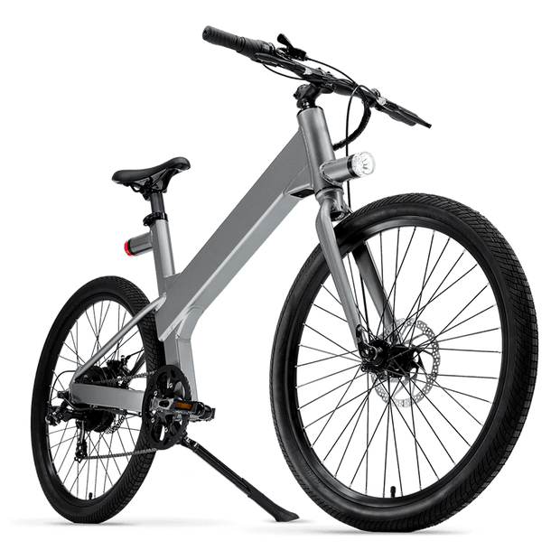 flash ebike