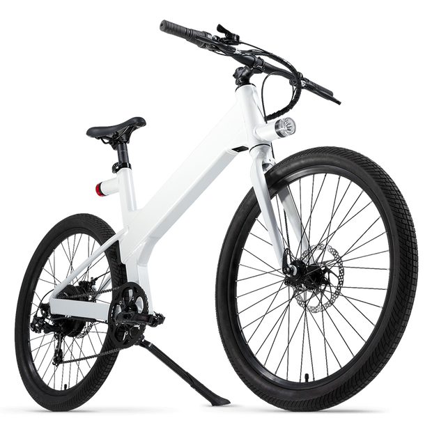 flash electric bike