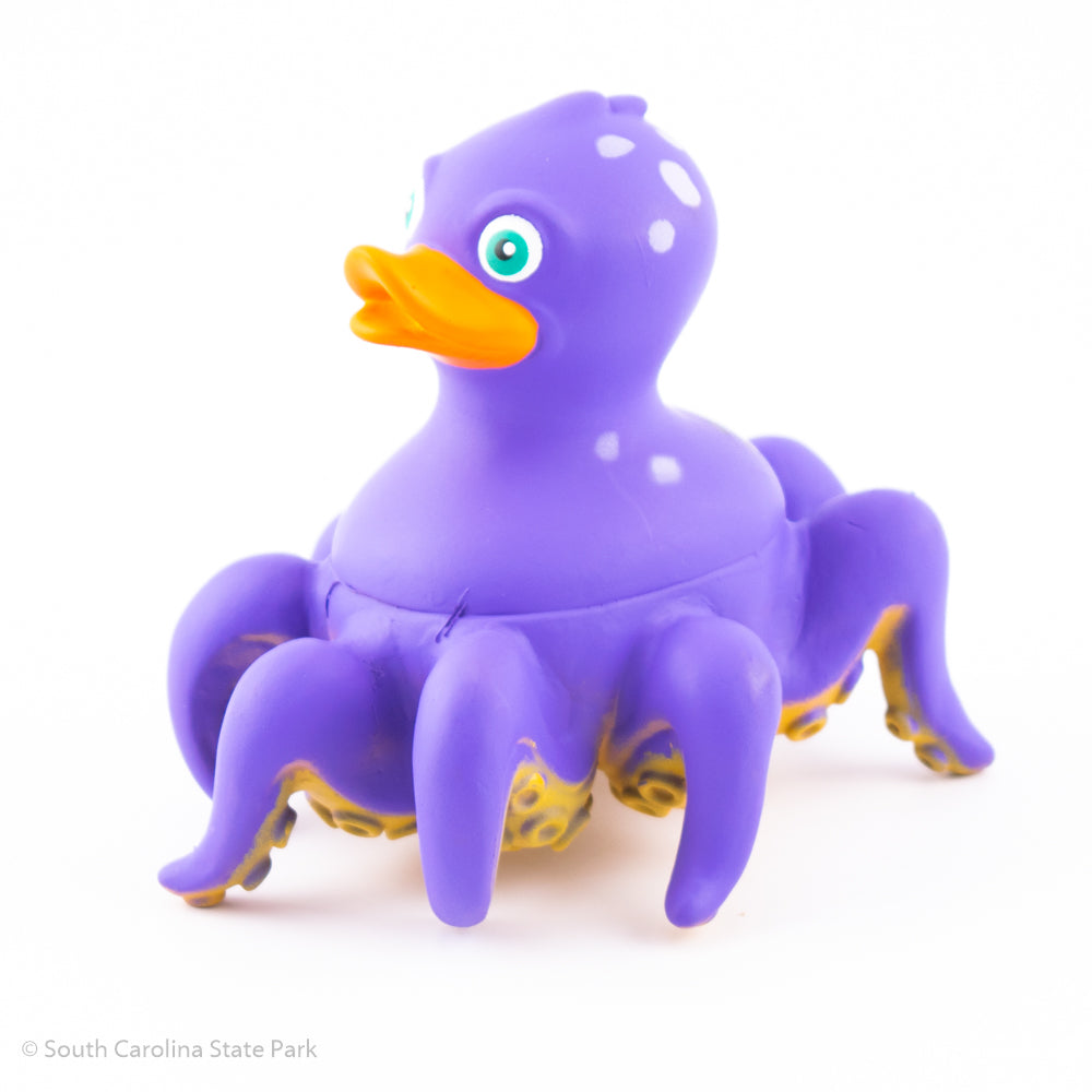 purple rubber duck