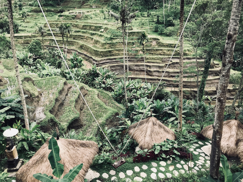 bali rice fields ubud trip explore travel list bucket list wanderlust jewelry inspire free 