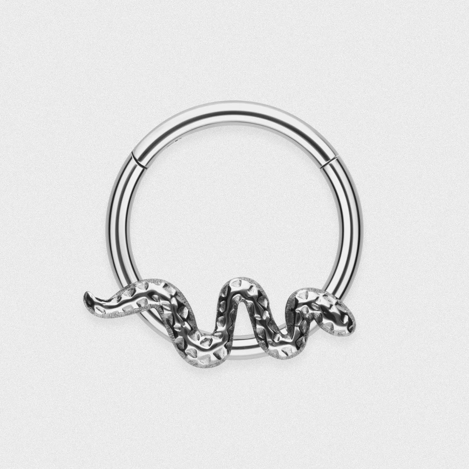 Product Image for Hammered Snake Titanium Hinged Segment Ring
